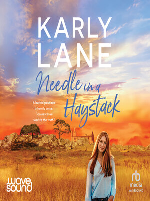 cover image of Needle in a Haystack